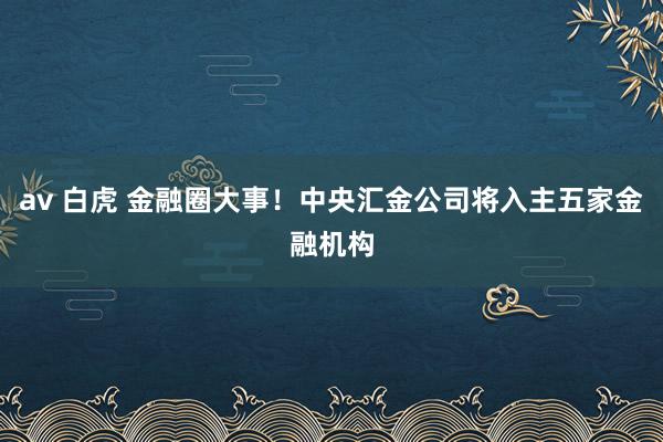 av 白虎 金融圈大事！中央汇金公司将入主五家金融机构