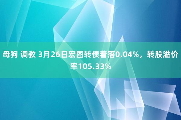 母狗 调教 3月26日宏图转债着落0.04%，转股溢价率105.33%