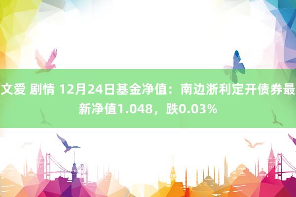 文爱 剧情 12月24日基金净值：南边浙利定开债券最新净值1.048，跌0.03%