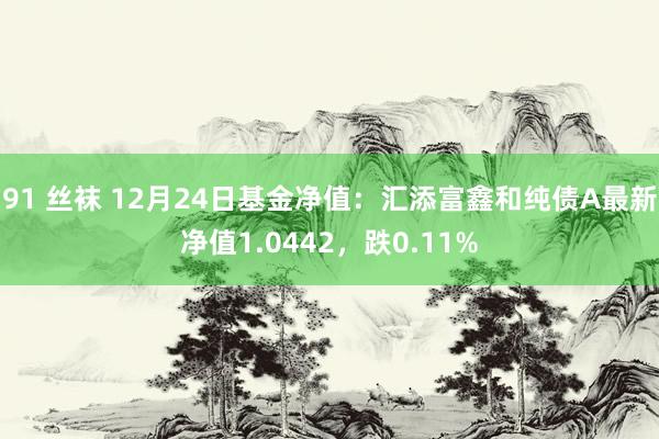 91 丝袜 12月24日基金净值：汇添富鑫和纯债A最新净值1.0442，跌0.11%