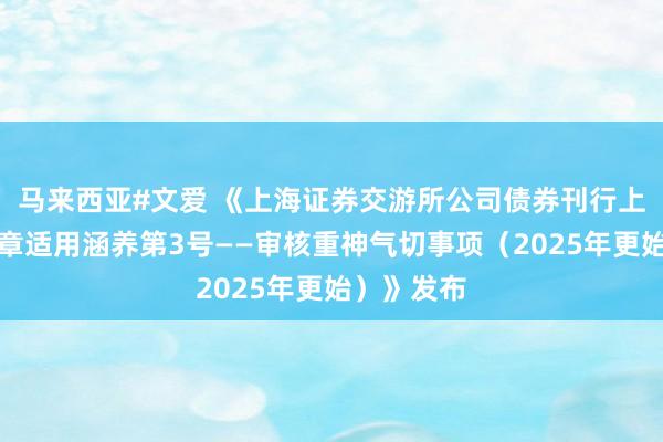 马来西亚#文爱 《上海证券交游所公司债券刊行上市审核规章适用涵养第3号——审核重神气切事项(2025年更始)》发布