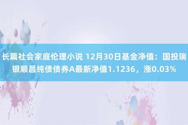 长篇社会家庭伦理小说 12月30日基金净值：国投瑞银顺昌纯债债券A最新净值1.1236，涨0.03%