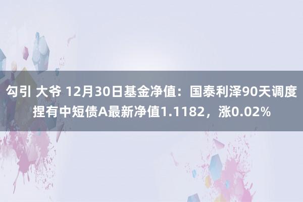 勾引 大爷 12月30日基金净值：国泰利泽90天调度捏有中短债A最新净值1.1182，涨0.02%
