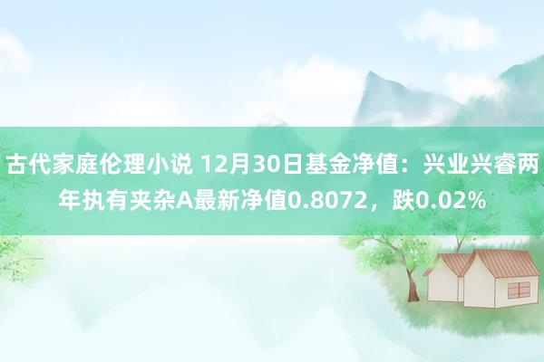 古代家庭伦理小说 12月30日基金净值：兴业兴睿两年执有夹杂A最新净值0.8072，跌0.02%