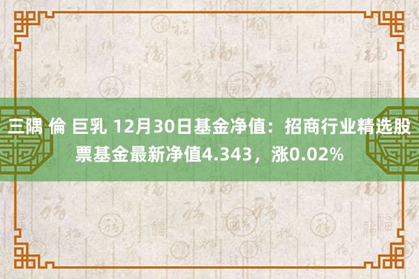 三隅 倫 巨乳 12月30日基金净值：招商行业精选股票基金最新净值4.343，涨0.02%