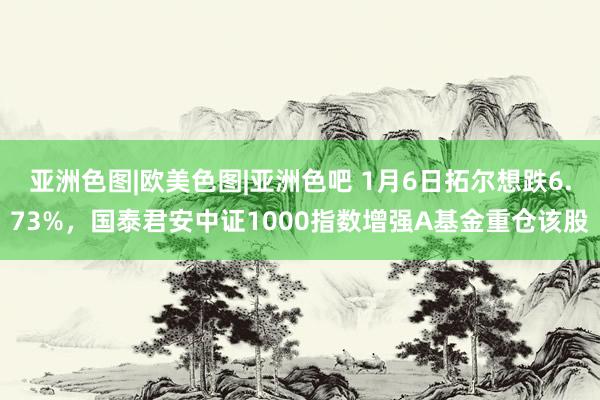亚洲色图|欧美色图|亚洲色吧 1月6日拓尔想跌6.73%，国泰君安中证1000指数增强A基金重仓该股