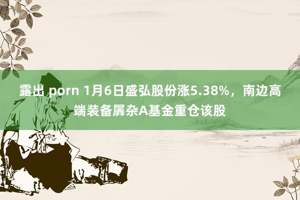 露出 porn 1月6日盛弘股份涨5.38%，南边高端装备羼杂A基金重仓该股