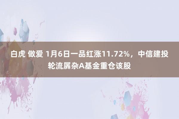 白虎 做爱 1月6日一品红涨11.72%，中信建投轮流羼杂A基金重仓该股