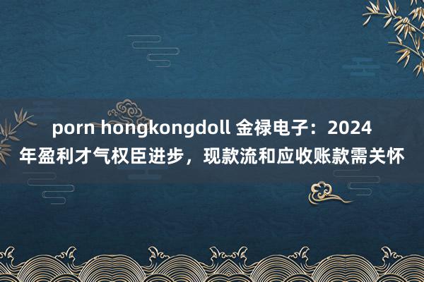 porn hongkongdoll 金禄电子：2024年盈利才气权臣进步，现款流和应收账款需关怀