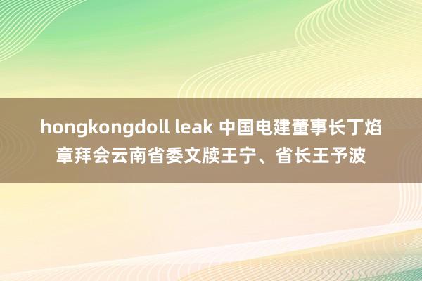 hongkongdoll leak 中国电建董事长丁焰章拜会云南省委文牍王宁、省长王予波