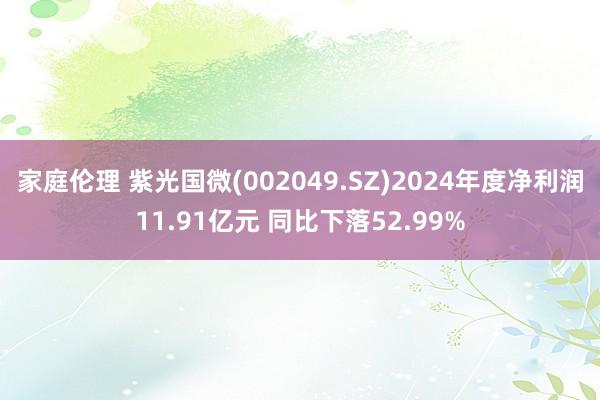 家庭伦理 紫光国微(002049.SZ)2024年度净利润11.91亿元 同比下落52.99%