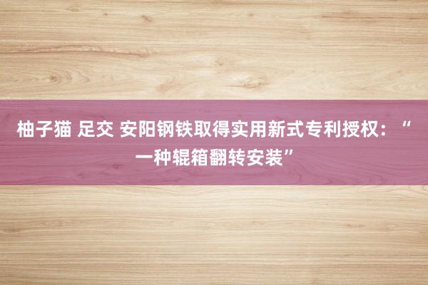 柚子猫 足交 安阳钢铁取得实用新式专利授权：“一种辊箱翻转安装”