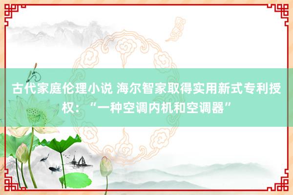 古代家庭伦理小说 海尔智家取得实用新式专利授权：“一种空调内机和空调器”