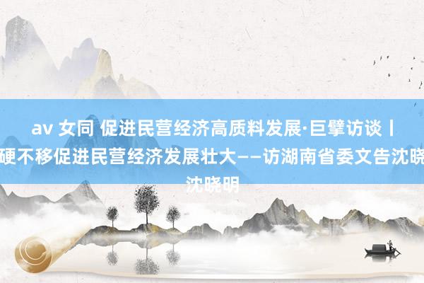 av 女同 促进民营经济高质料发展·巨擘访谈丨刚硬不移促进民营经济发展壮大——访湖南省委文告沈晓明