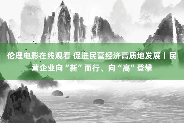 伦理电影在线观看 促进民营经济高质地发展丨民营企业向“新”而行、向“高”登攀