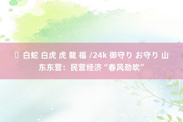 ✨白蛇 白虎 虎 龍 福 /24k 御守り お守り 山东东营：民营经济“春风劲吹”