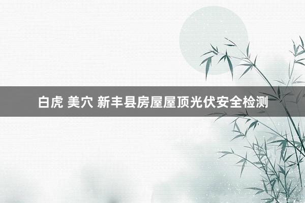 白虎 美穴 新丰县房屋屋顶光伏安全检测