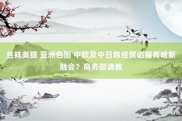 丝袜美腿 亚洲色图 中欧及中日韩经贸谄媚有啥新融会？商务部请教
