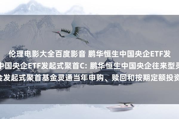 伦理电影大全百度影音 鹏华恒生中国央企ETF发起式聚首A,鹏华恒生中国央企ETF发起式聚首C: 鹏华恒生中国央企往来型灵通式指数证券投资基金发起式聚首基金灵通当年申购、赎回和按期定额投资业务及退换单笔最低赎回份额和账户最低份额余额末端的公告