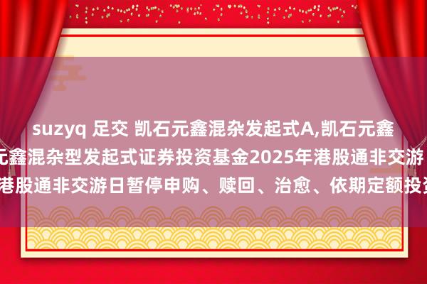 suzyq 足交 凯石元鑫混杂发起式A,凯石元鑫混杂发起式C: 对于凯石元鑫混杂型发起式证券投资基金2025年港股通非交游日暂停申购、赎回、治愈、依期定额投资业务的公告