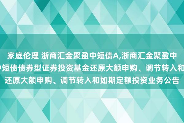 家庭伦理 浙商汇金聚盈中短债A,浙商汇金聚盈中短债C: 浙商汇金聚盈中短债债券型证券投资基金还原大额申购、调节转入和如期定额投资业务公告