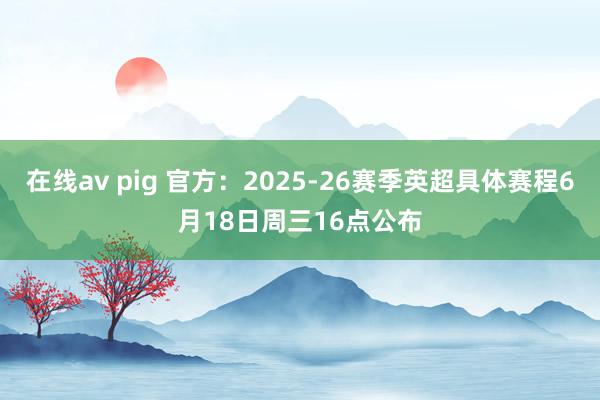 在线av pig 官方：2025-26赛季英超具体赛程6月18日周三16点公布