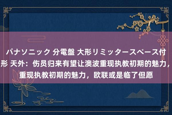 パナソニック 分電盤 大形リミッタースペース付 露出・半埋込両用形 天外：伤员归来有望让澳波重现执教初期的魅力，欧联或是临了但愿