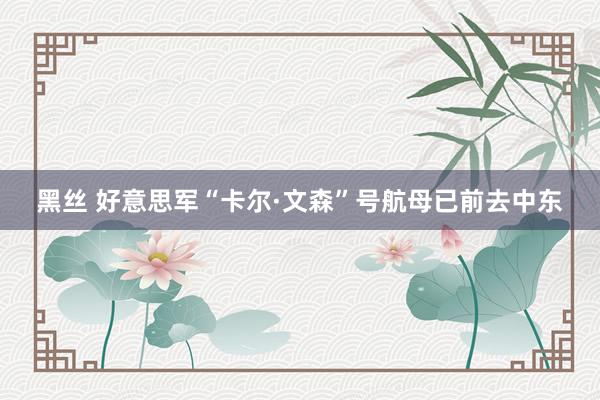 黑丝 好意思军“卡尔·文森”号航母已前去中东