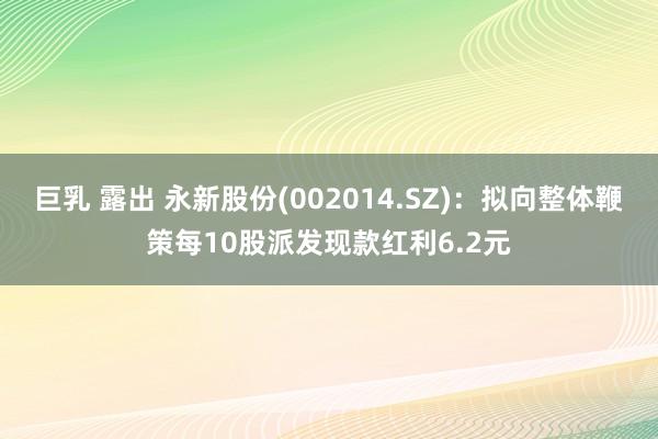 巨乳 露出 永新股份(002014.SZ)：拟向整体鞭策每10股派发现款红利6.2元