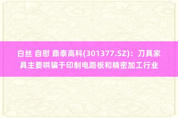 白丝 自慰 鼎泰高科(301377.SZ)：刀具家具主要哄骗于印制电路板和精密加工行业