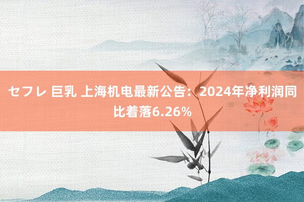 セフレ 巨乳 上海机电最新公告：2024年净利润同比着落6.26%