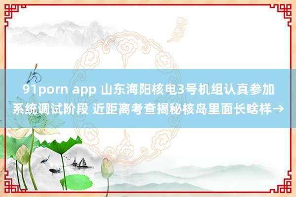 91porn app 山东海阳核电3号机组认真参加系统调试阶段 近距离考查揭秘核岛里面长啥样→