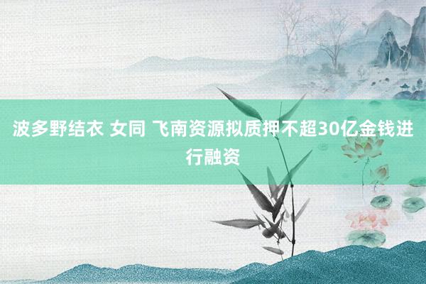 波多野结衣 女同 飞南资源拟质押不超30亿金钱进行融资