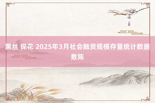 黑丝 探花 2025年3月社会融资规模存量统计数据敷陈