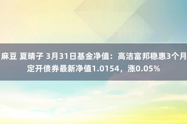 麻豆 夏晴子 3月31日基金净值：高洁富邦稳惠3个月定开债券最新净值1.0154，涨0.05%