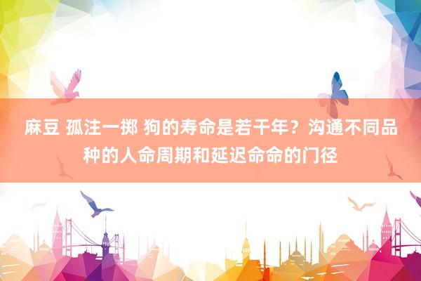 麻豆 孤注一掷 狗的寿命是若干年？沟通不同品种的人命周期和延迟命命的门径
