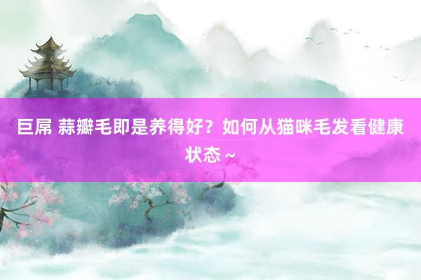 巨屌 蒜瓣毛即是养得好？如何从猫咪毛发看健康状态～