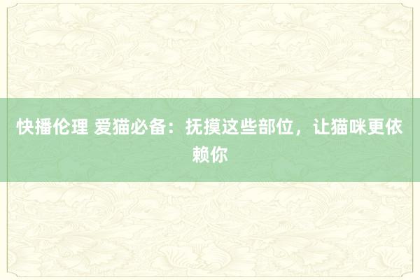 快播伦理 爱猫必备：抚摸这些部位，让猫咪更依赖你