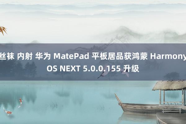 丝袜 内射 华为 MatePad 平板居品获鸿蒙 HarmonyOS NEXT 5.0.0.155 升级
