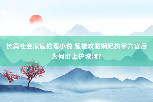 长篇社会家庭伦理小说 延禧攻略娴妃执掌六宫后为何盯上护城河？