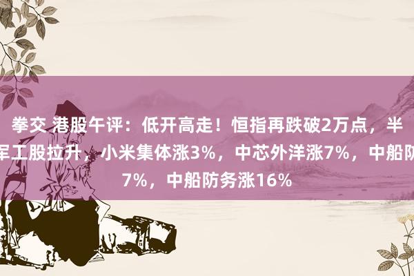 拳交 港股午评：低开高走！恒指再跌破2万点，半导体股、军工股拉升，小米集体涨3%，中芯外洋涨7%，中船防务涨16%