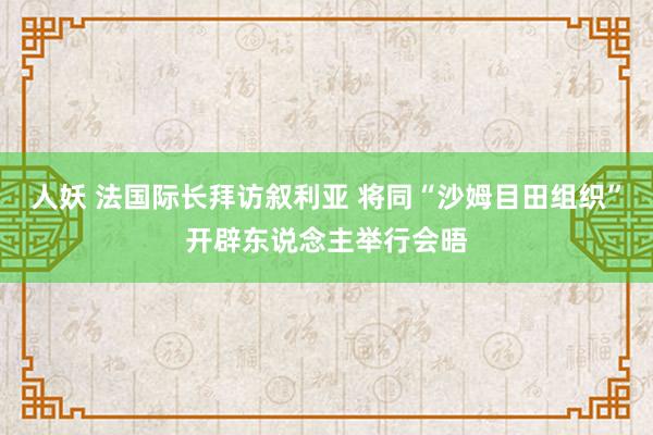 人妖 法国际长拜访叙利亚 将同“沙姆目田组织”开辟东说念主举行会晤