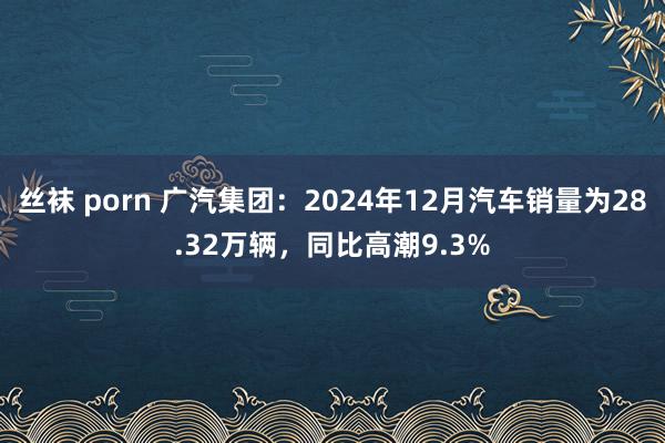 丝袜 porn 广汽集团：2024年12月汽车销量为28.32万辆，同比高潮9.3%