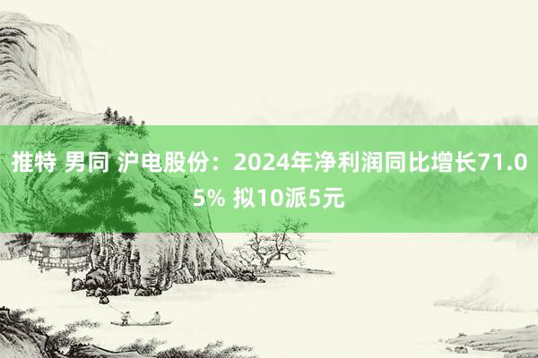推特 男同 沪电股份：2024年净利润同比增长71.05% 拟10派5元