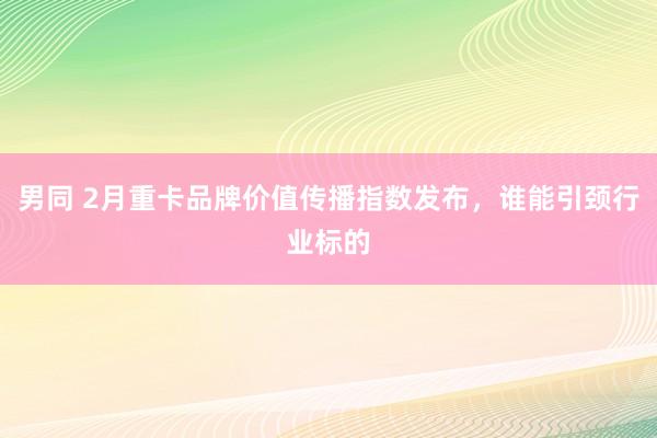 男同 2月重卡品牌价值传播指数发布，谁能引颈行业标的