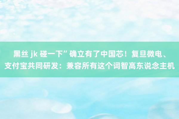 黑丝 jk 碰一下”确立有了中国芯！复旦微电、支付宝共同研发：兼容所有这个词智高东说念主机