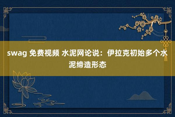 swag 免费视频 水泥网论说：伊拉克初始多个水泥缔造形态