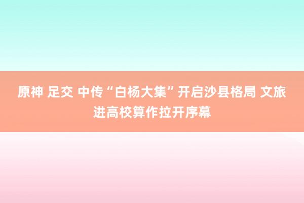 原神 足交 中传“白杨大集”开启沙县格局 文旅进高校算作拉开序幕
